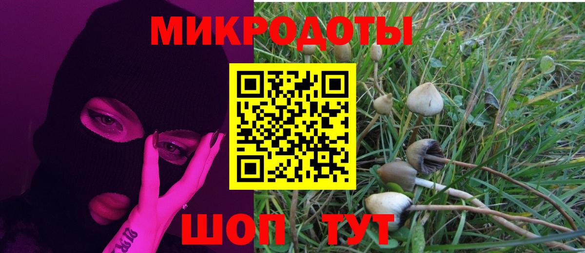 Ессентуки  Псилоцибиновые грибы GOLDEN TEACHER  Вход с VPN  Галлюциногенные грибы Psilocybe 